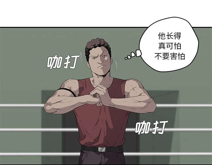 乱世邮差漫画漫画,第78章：关注6图