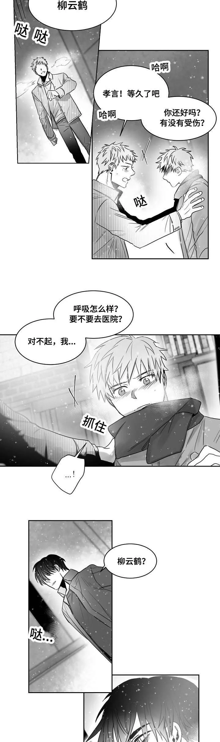 柳云鹤漫画漫画,第36章：守护你的珍贵10图