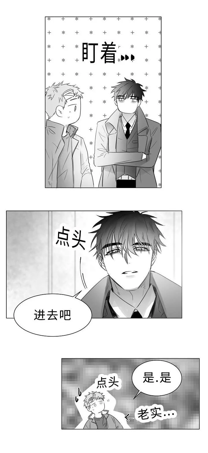 柳云鹤漫画漫画,第11章：护着8图