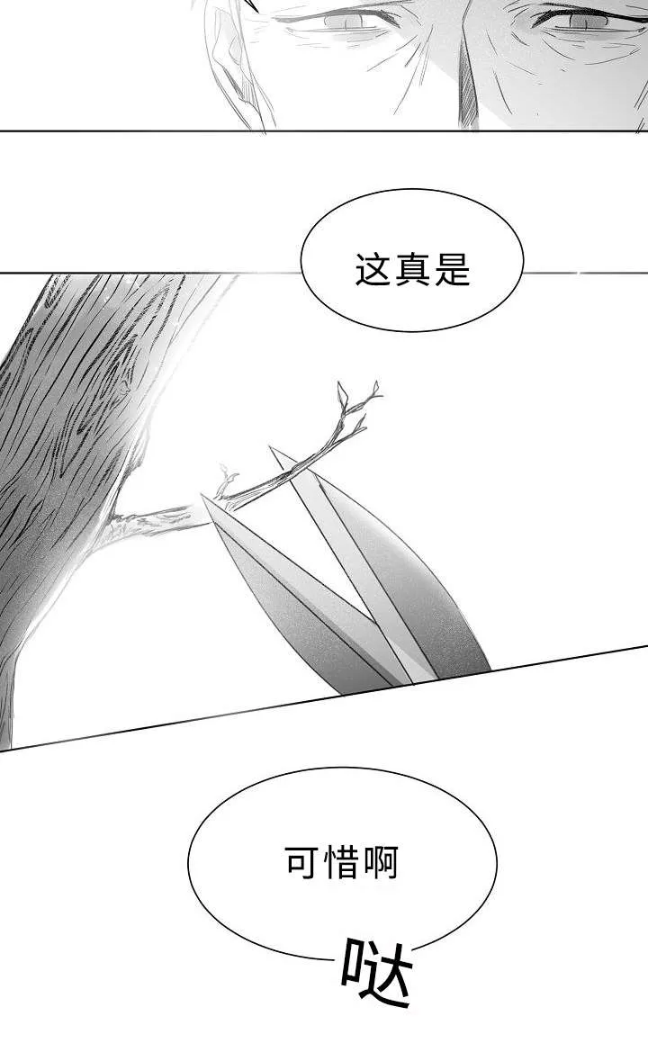柳云鹤漫画漫画,第11章：护着6图