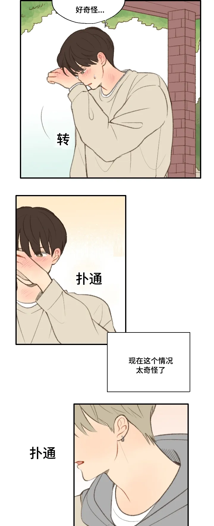 勿忘我绘画图片漫画,第19章：告白6图