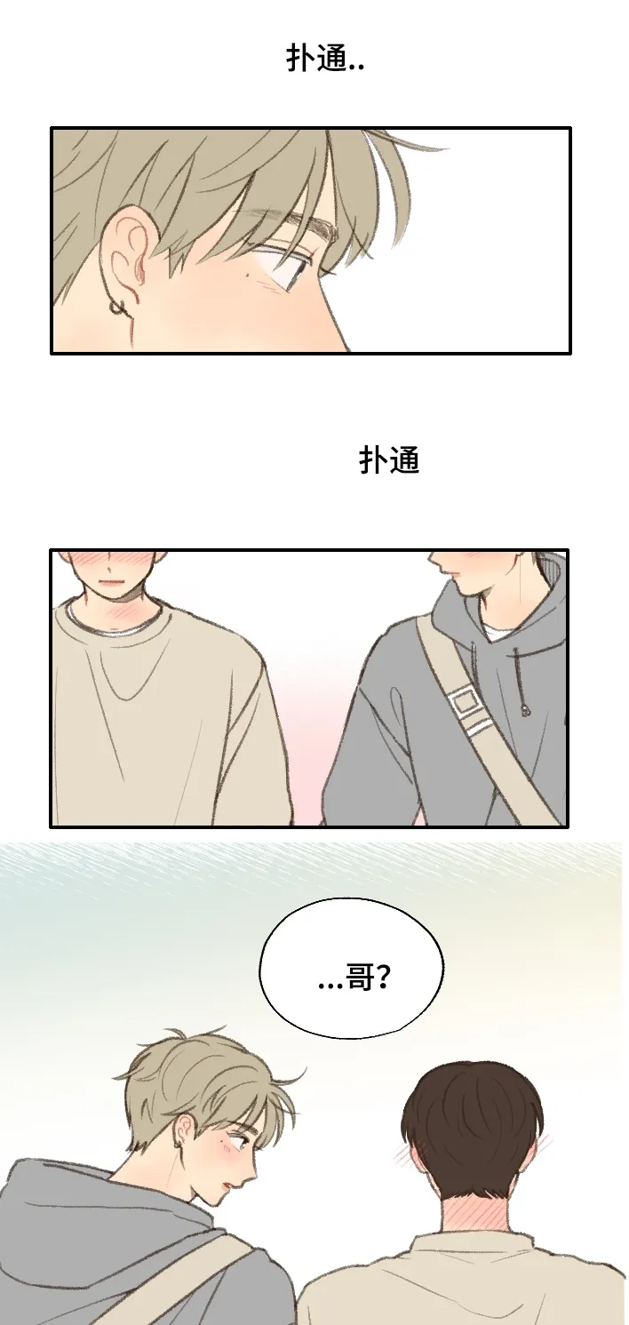 勿忘我绘画图片漫画,第19章：告白4图