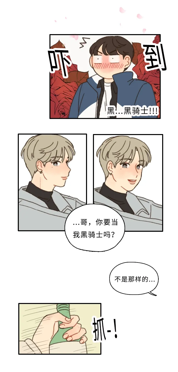 勿忘我爱什么意思漫画,第4章：黑骑士3图