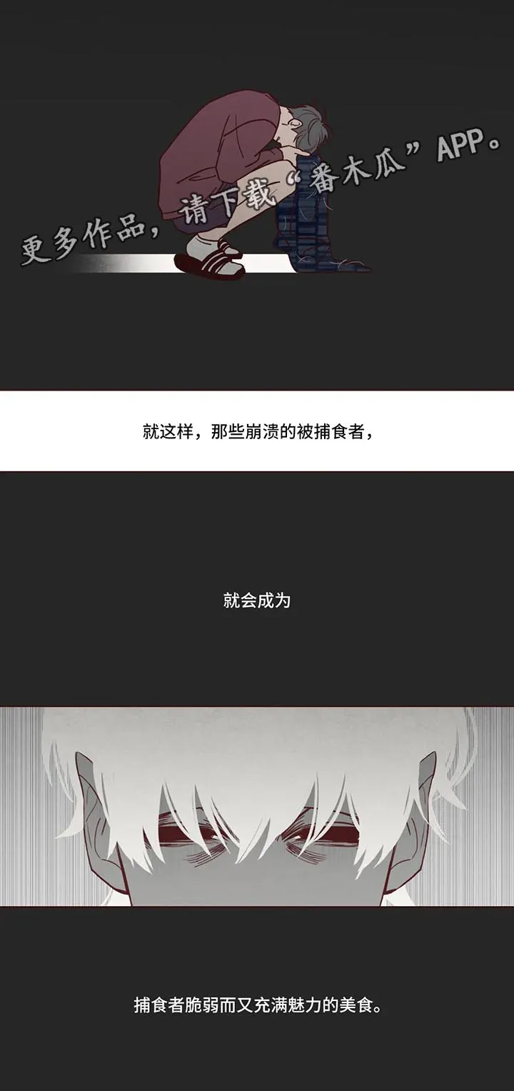 山鬼效灵漫画漫画,第82章：捕食者9图