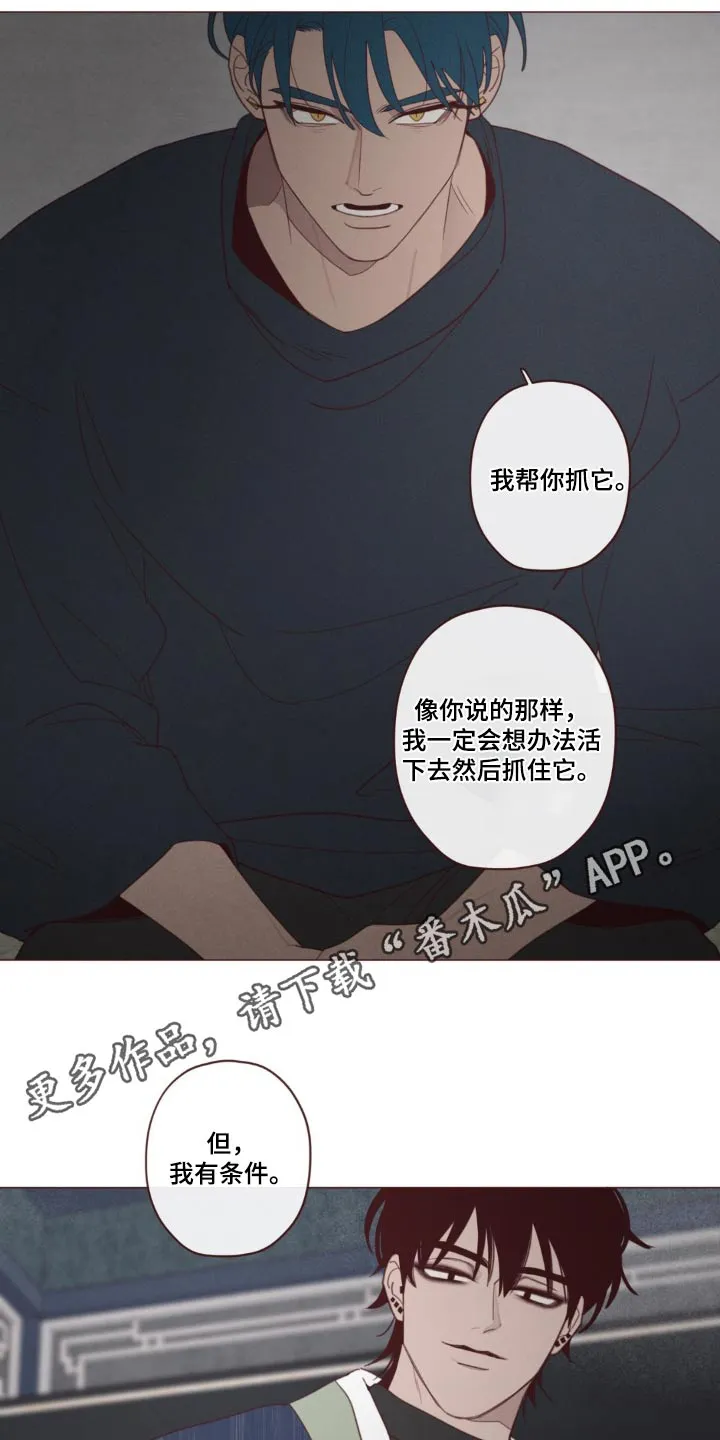 山鬼和狐妖的漫画漫画,第181章：选择18图