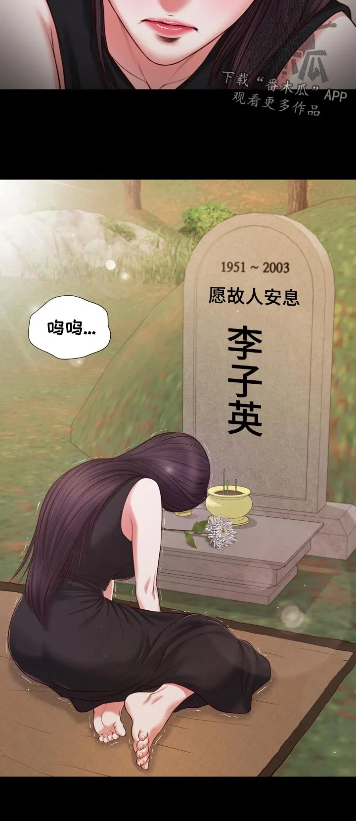 翡翠玉石漫画漫画,第85章：二夫人的参与12图