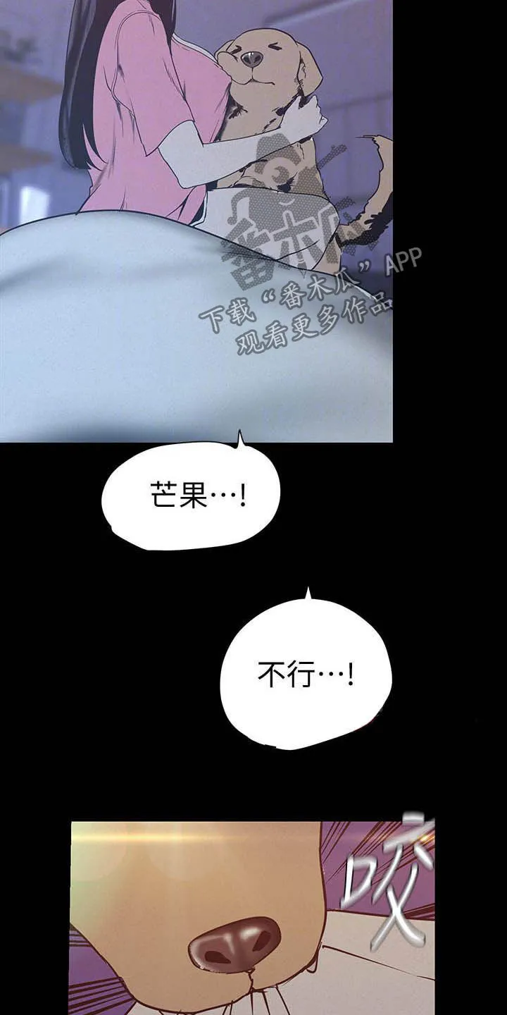 被偏见的人漫画漫画,第212章：见家长9图