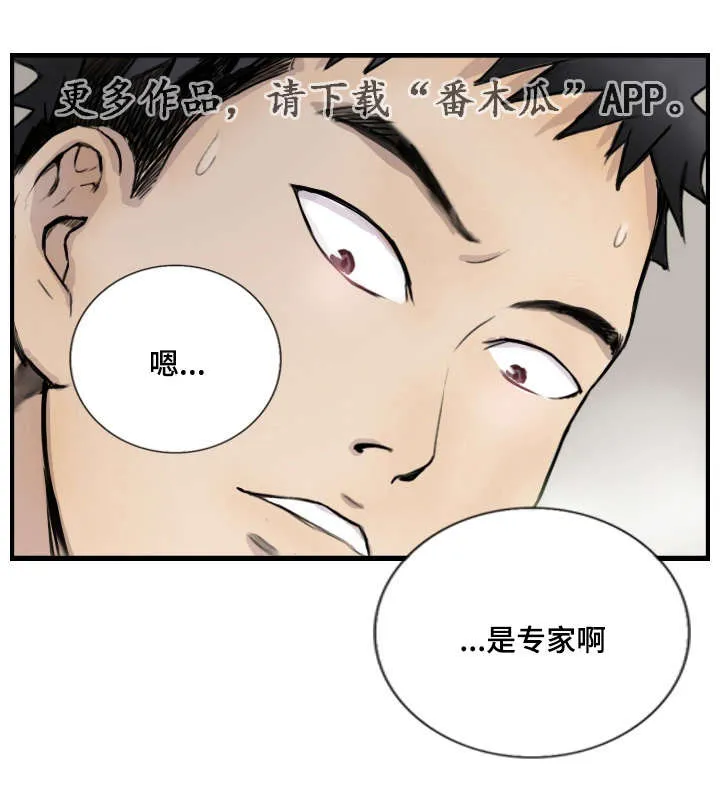 探星漫画漫画,第10章：她是专家14图