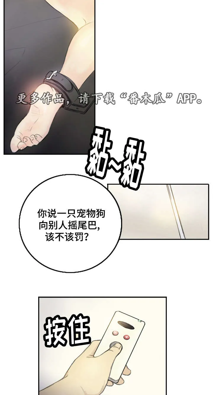 探星漫画漫画,第27章：会杀死你9图