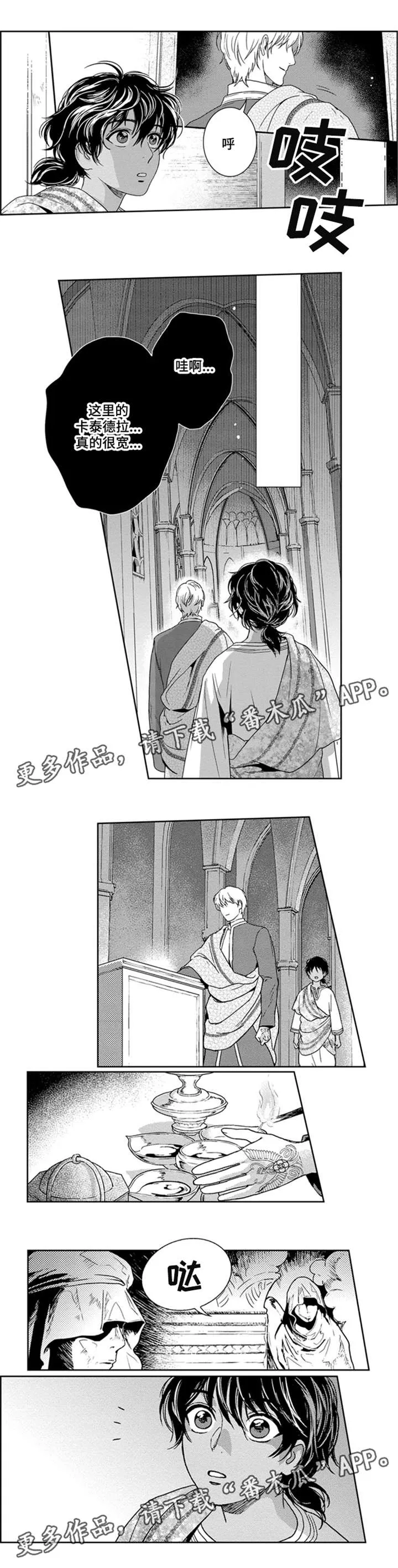 真假医生动漫漫画,第24章：成为黑的术士1图