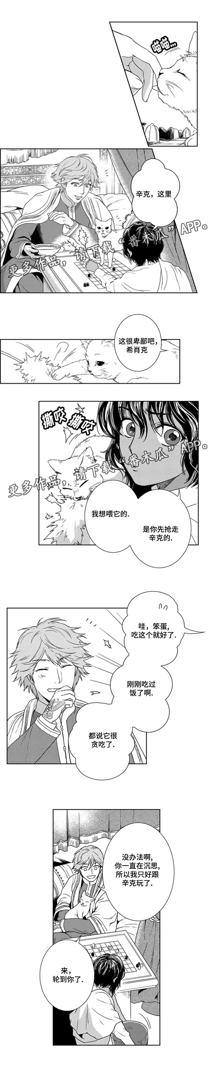 真假幻术师漫画,第12章：又见面了4图