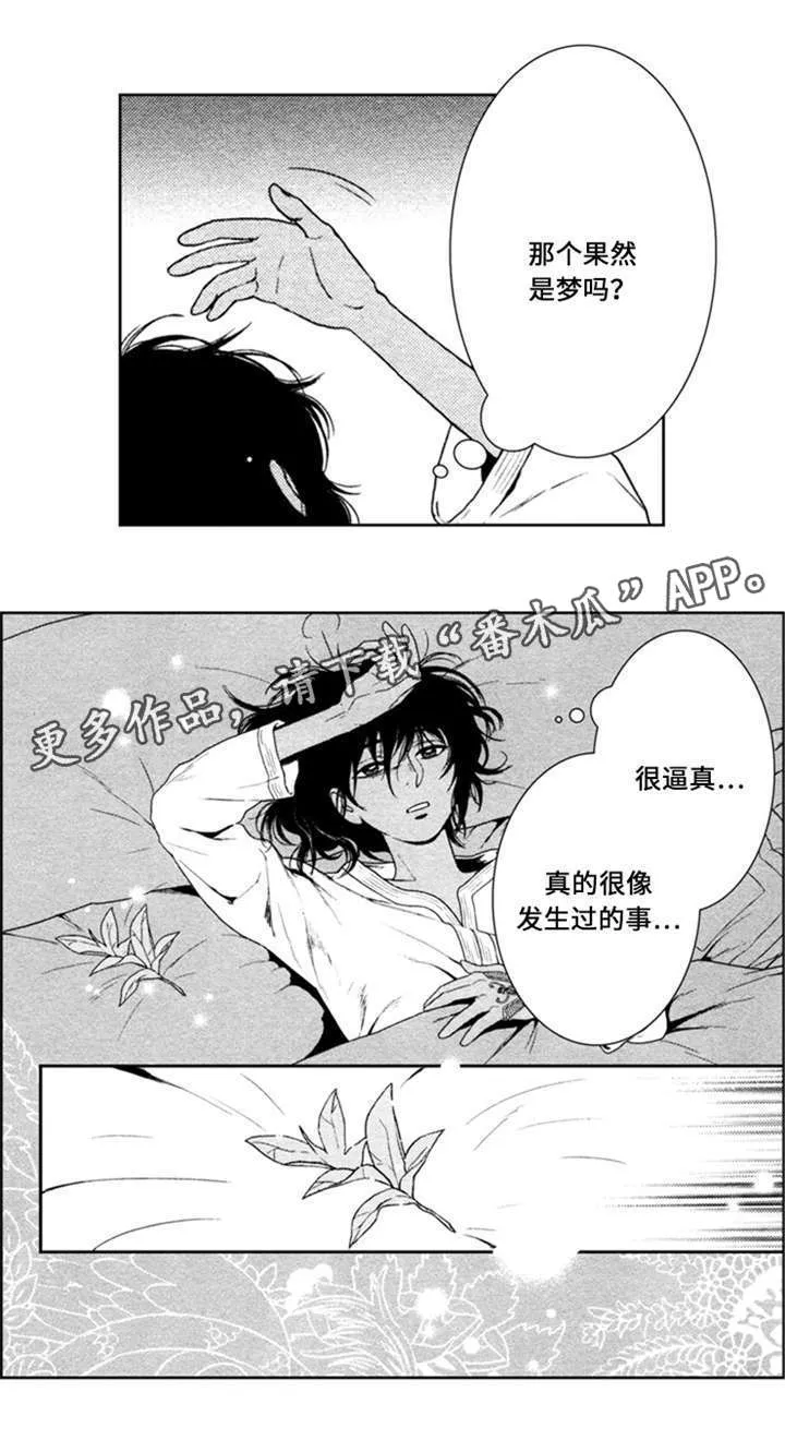 真假的精灵师漫画免费81章漫画,第44章：无能的王6图