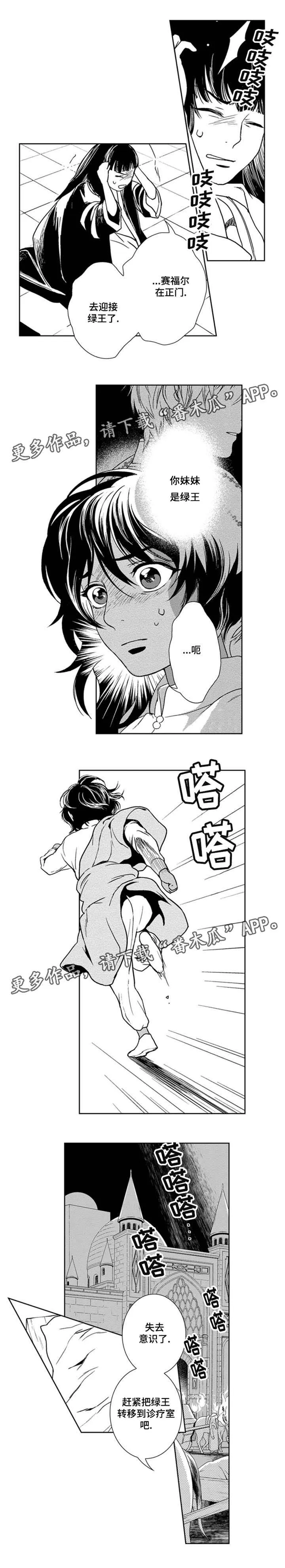 真假的精灵师漫画免费81章漫画,第29章：真正的占星术师3图