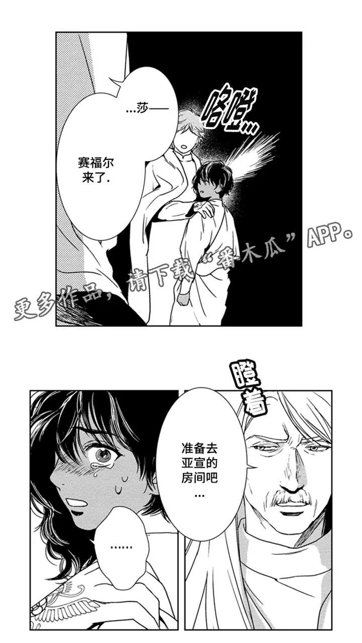 真假术师漫画漫画,第15章：我喜欢你8图