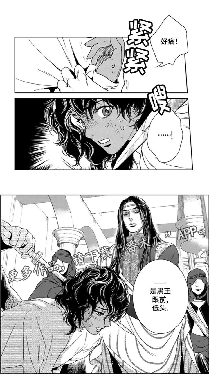 假扮魔法师漫画漫画,第16章：黑王2图