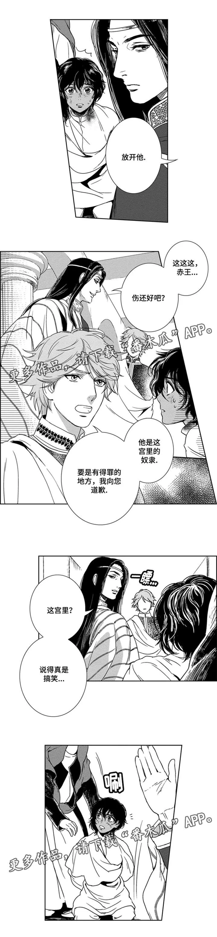 假扮魔法师漫画漫画,第16章：黑王3图