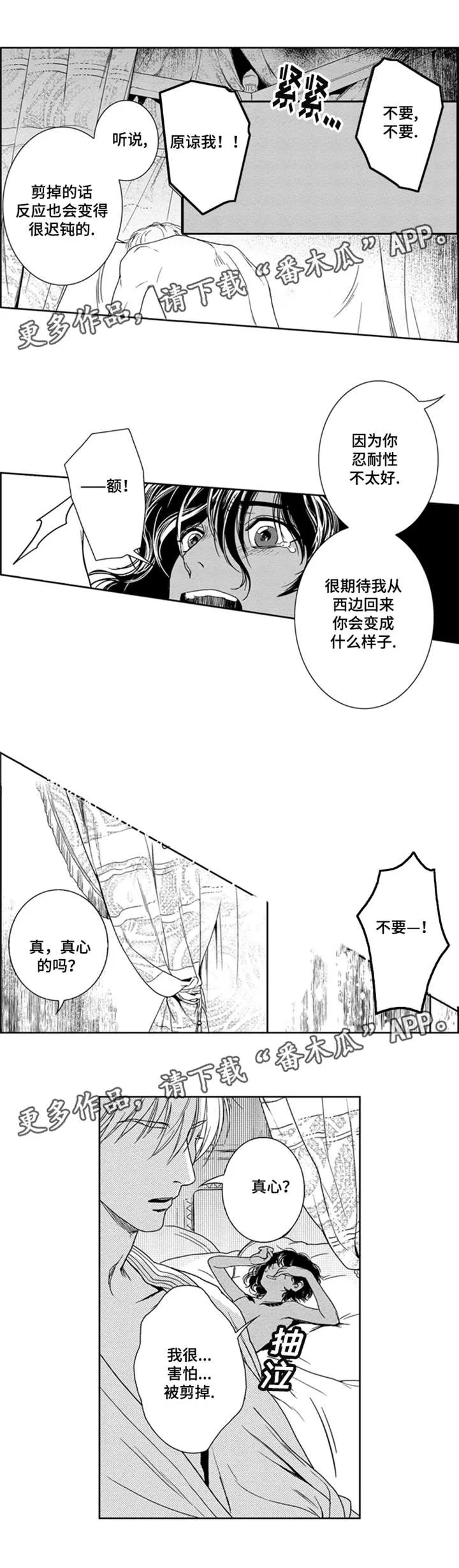 真假医生动漫漫画,第8章：义务3图
