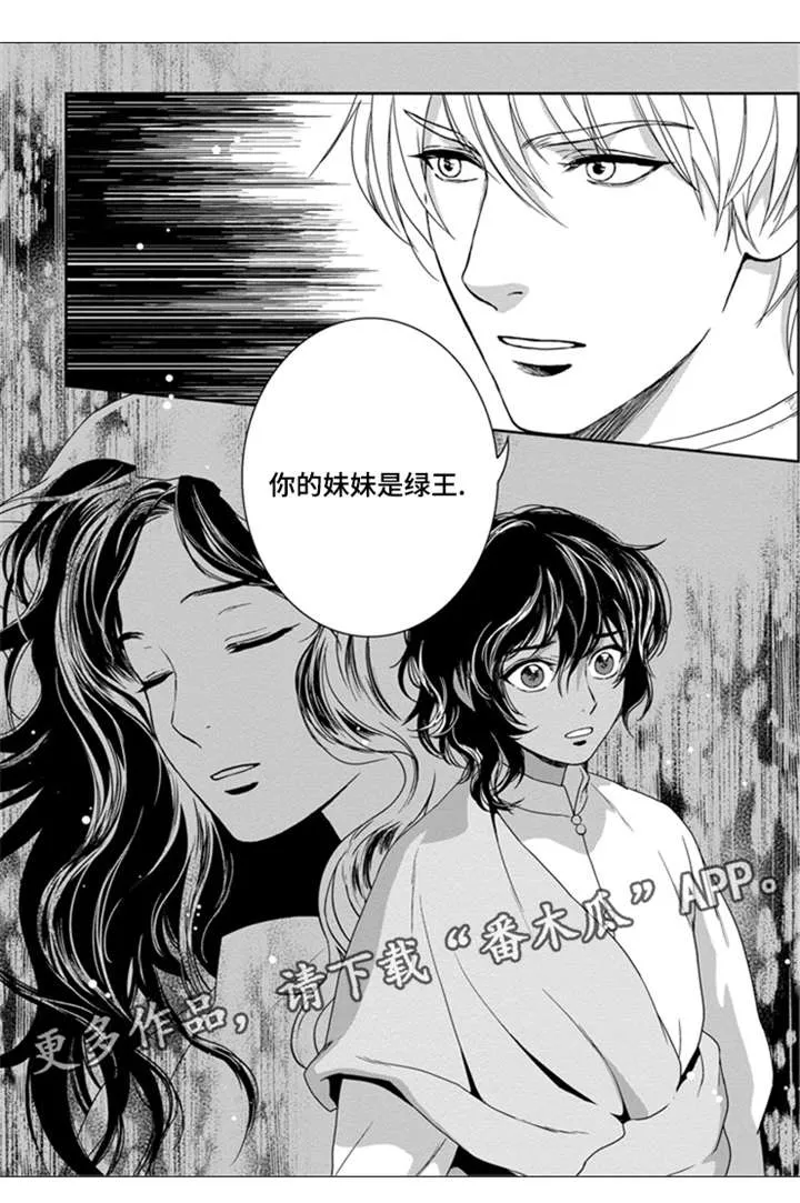 真假术师漫画漫画,第28章：妹妹是绿王4图