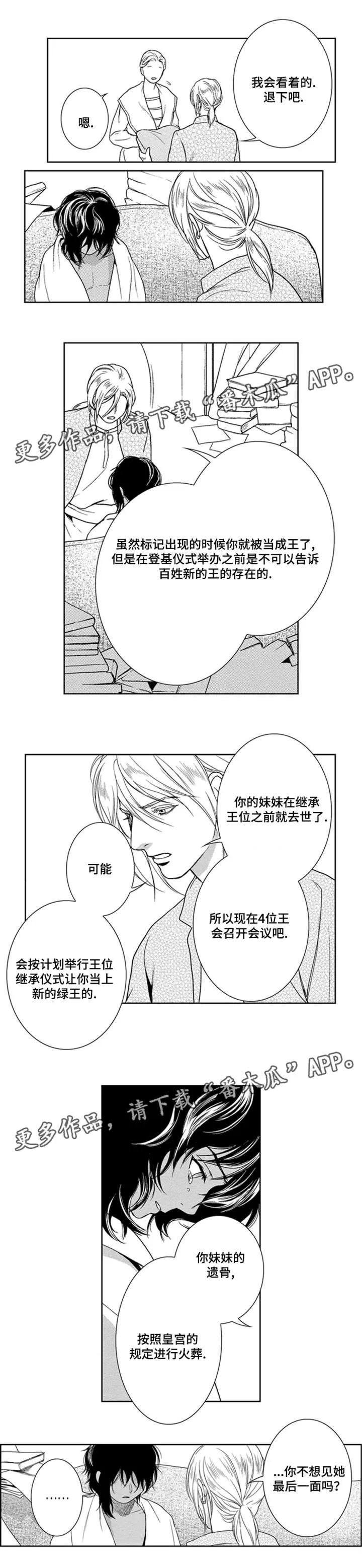 术师漫画漫画,第37章：只想见她7图