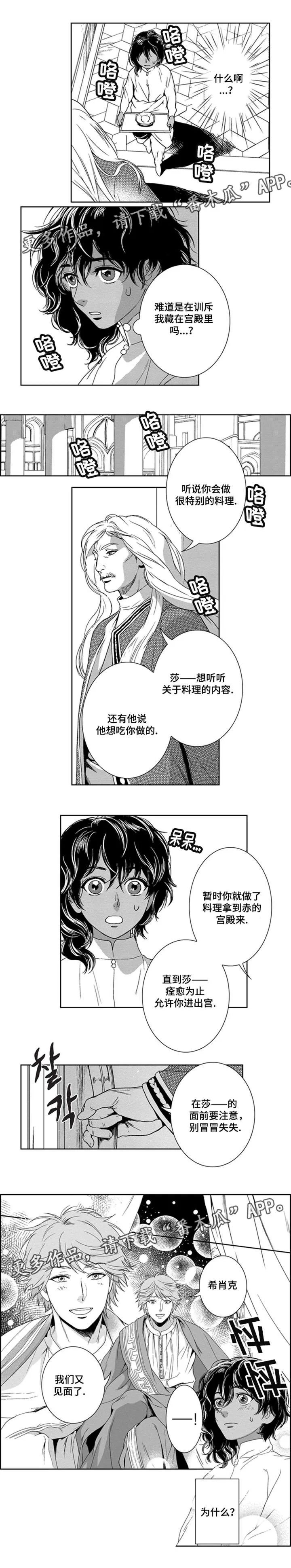 真假幻术师漫画,第12章：又见面了2图