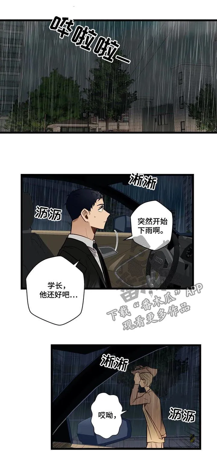 不专漫画漫画,第70章：有没有话说2图