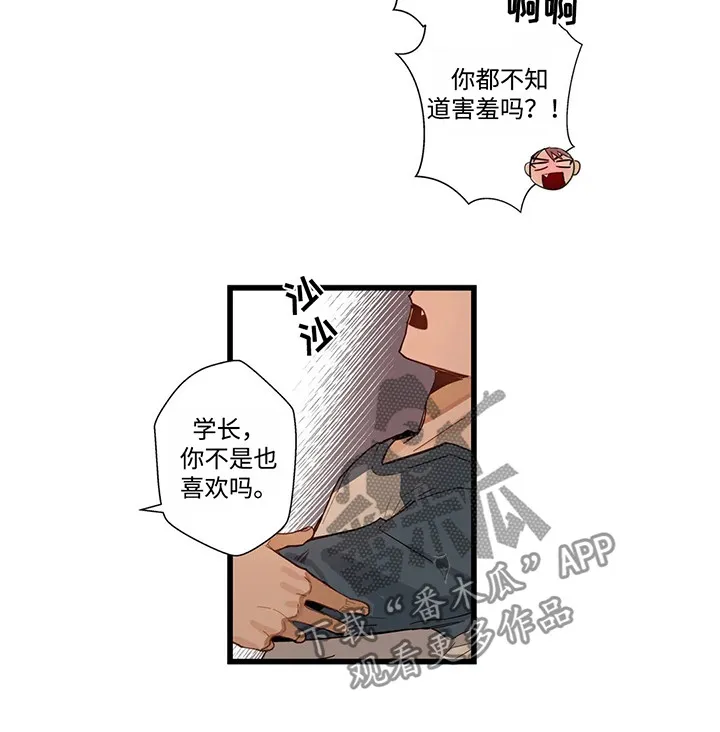 不专漫画漫画,第47章：再下一步8图