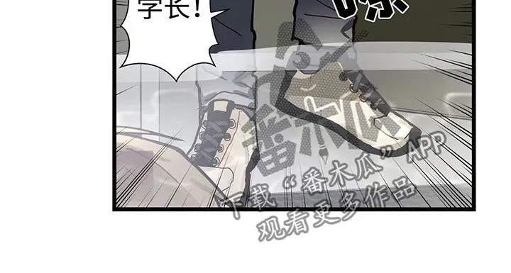 不专漫画漫画,第41章：一个一个去了解4图