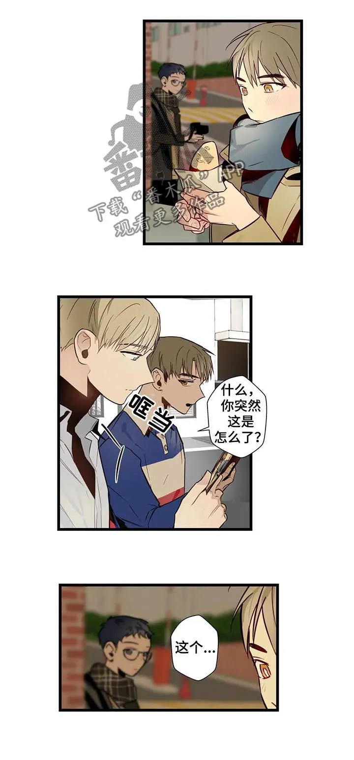 不专漫画漫画,第60章：家人13图