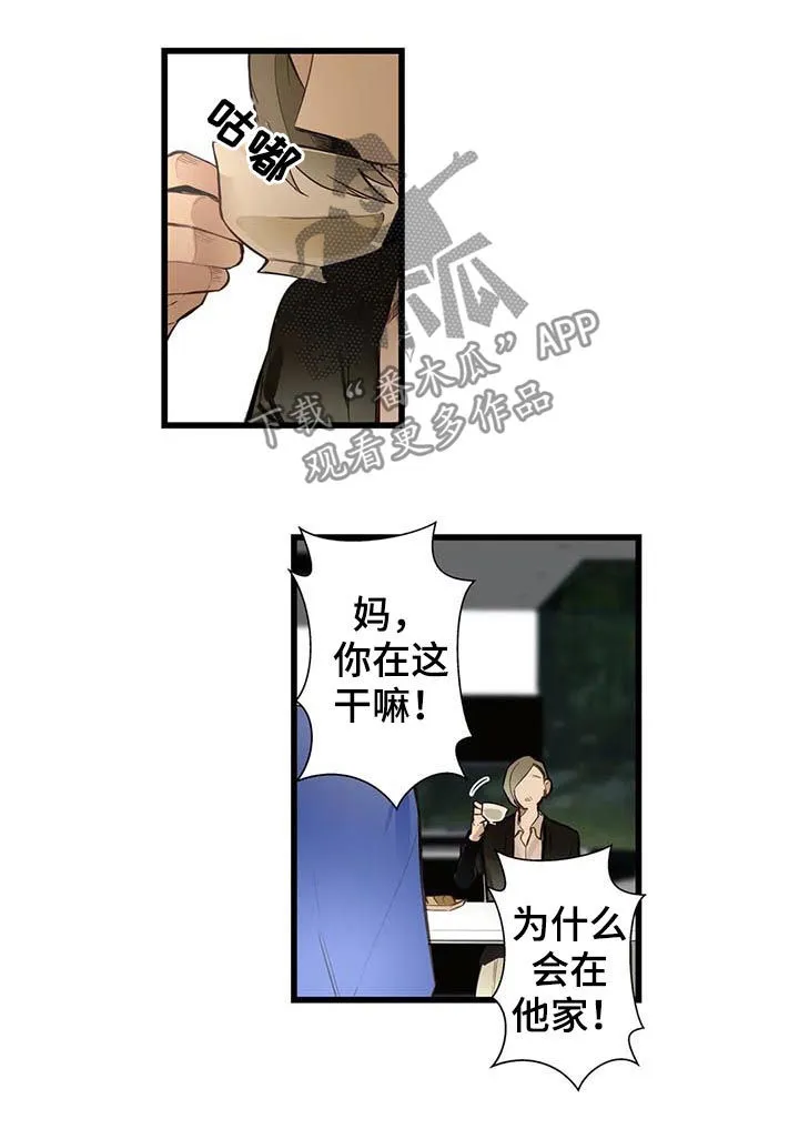 不专漫画漫画,第60章：家人4图