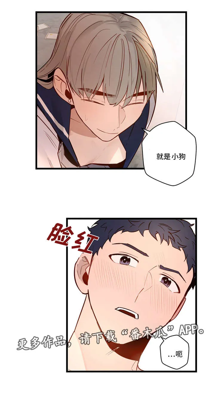 不专漫画漫画,第32章：我的作用11图