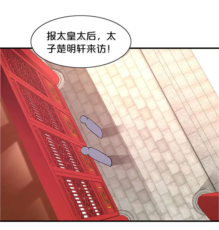 神探太子妃漫画漫画,第13章：太皇太后16图