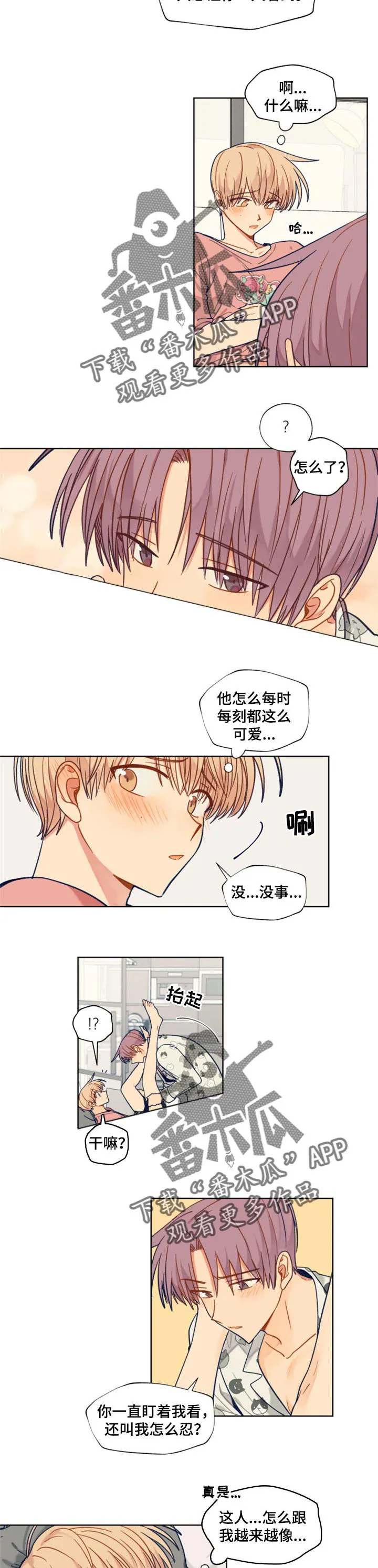契约对象漫画漫画,第51章：眼镜的意义2图