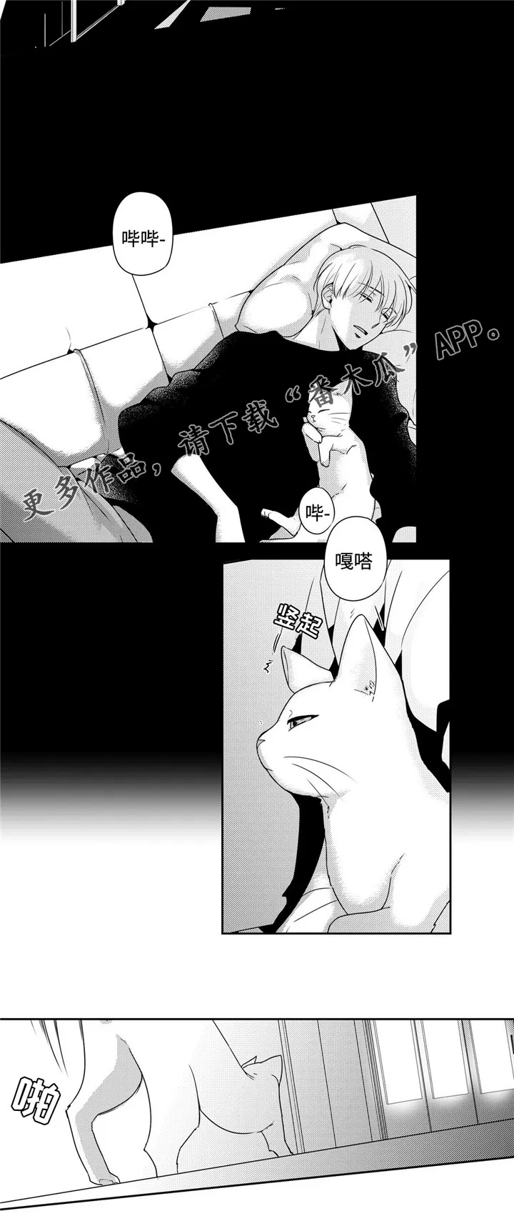 去向漫画漫画,第29章：生日礼物4图