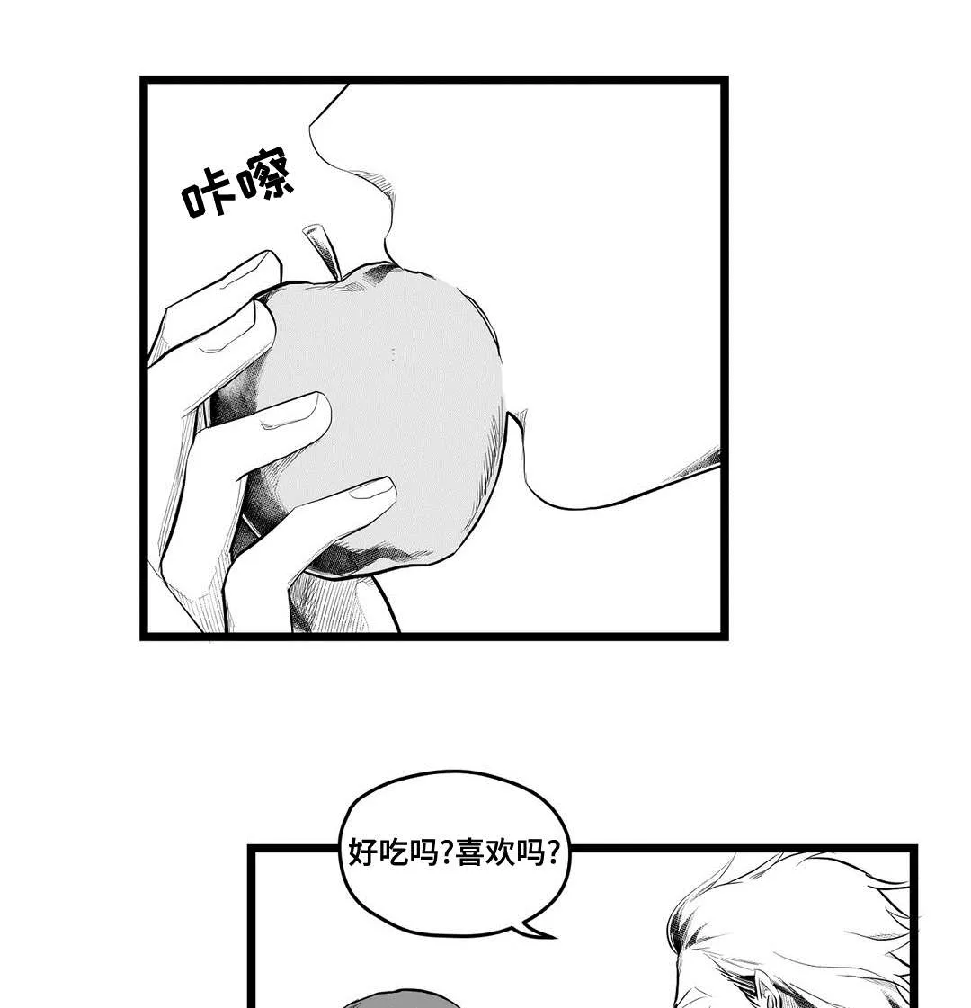 巫师与吸血鬼漫画漫画,第93章：终章7图