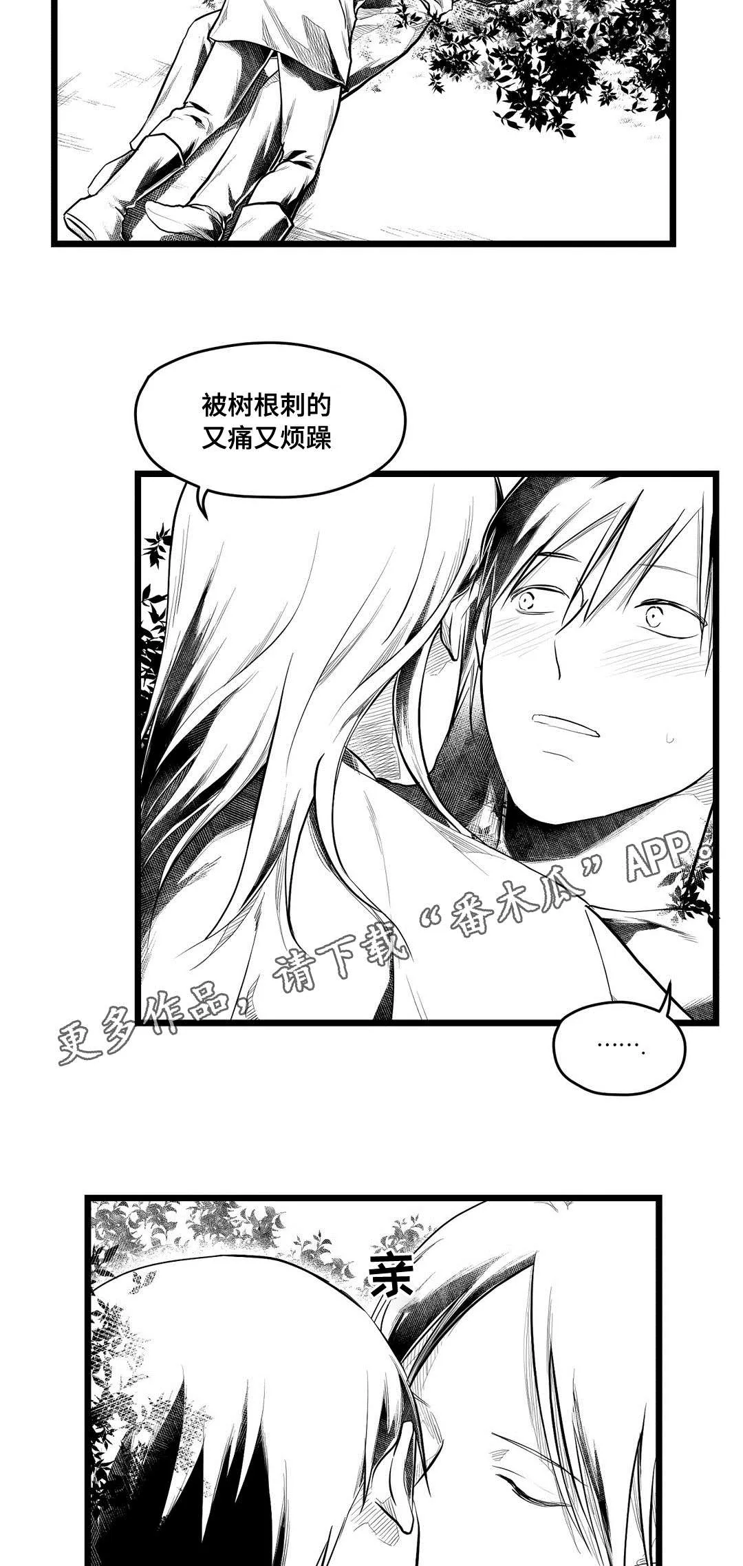 巫师与王子漫画漫画,第71章：命运7图