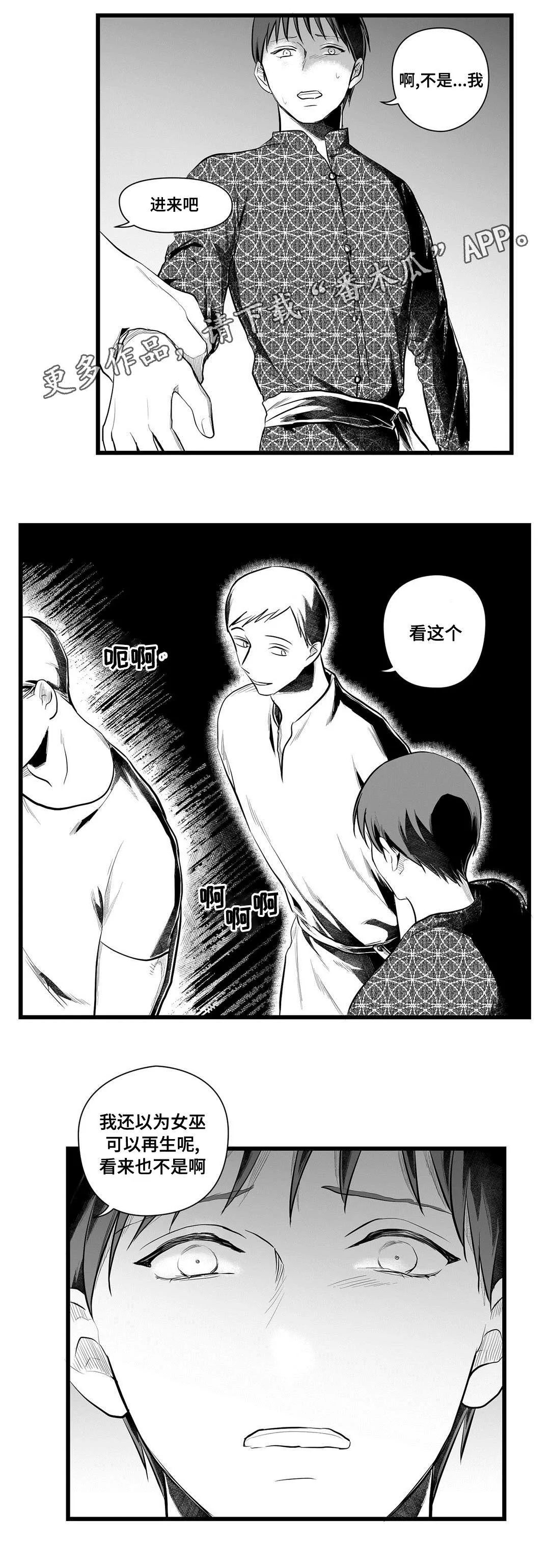 女巫与王子漫画漫画,第50章：监狱14图