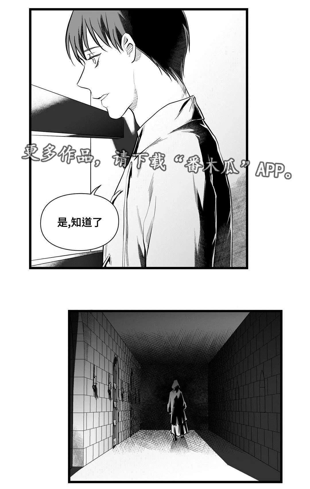 巅峰巫师漫画哪里看漫画,第46章：证言3图