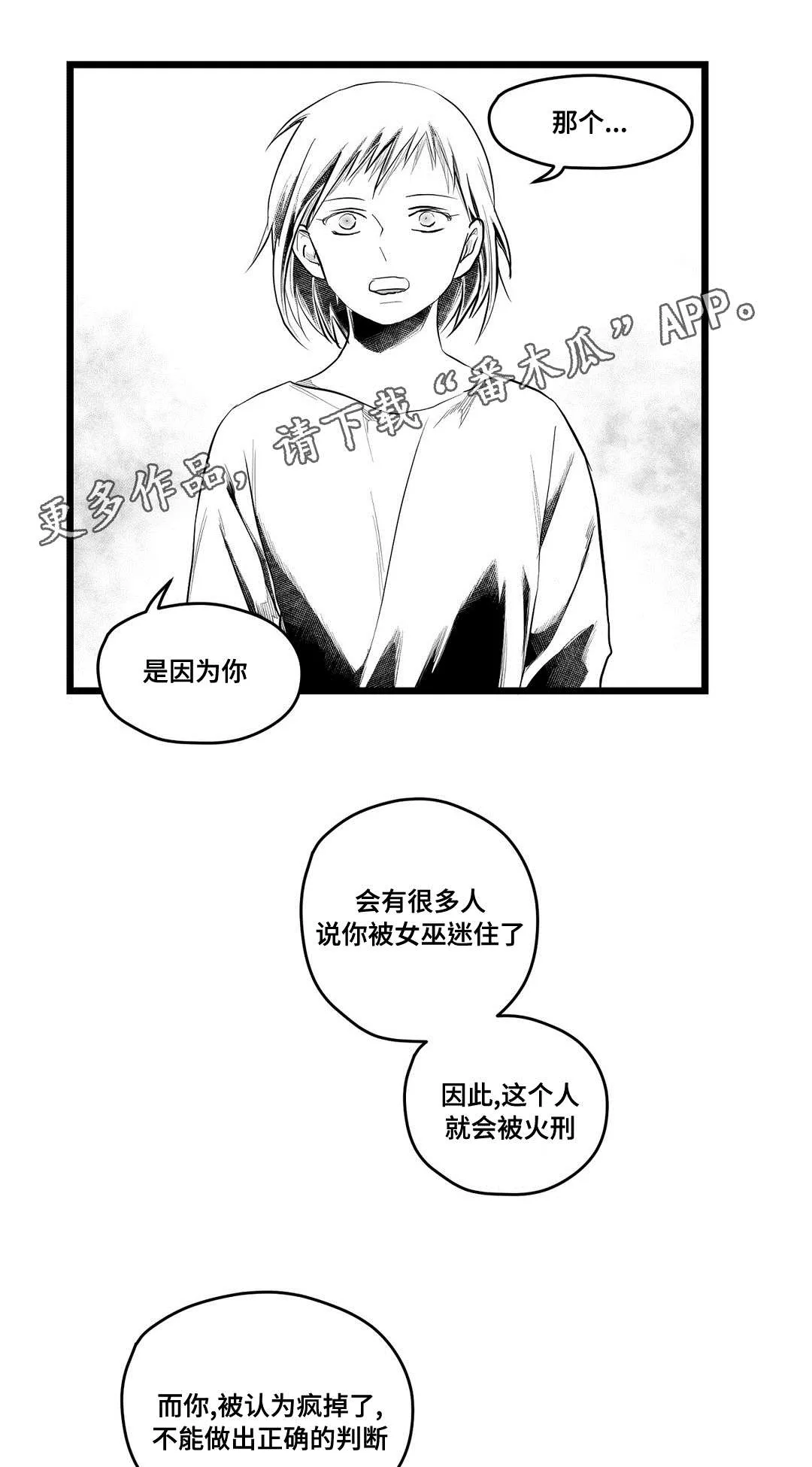 王子与巫师漫画漫画,第80章：骗子8图