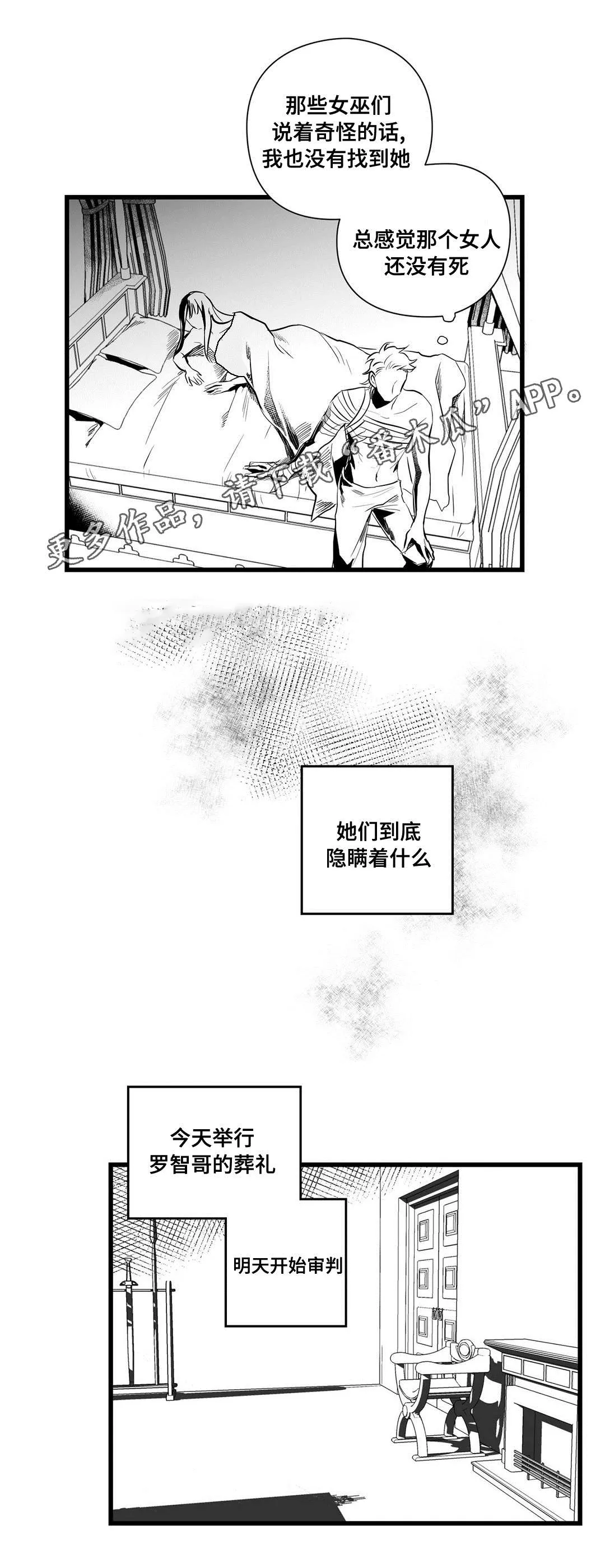 巫师与王子漫画漫画,第36章：隐瞒着什么5图