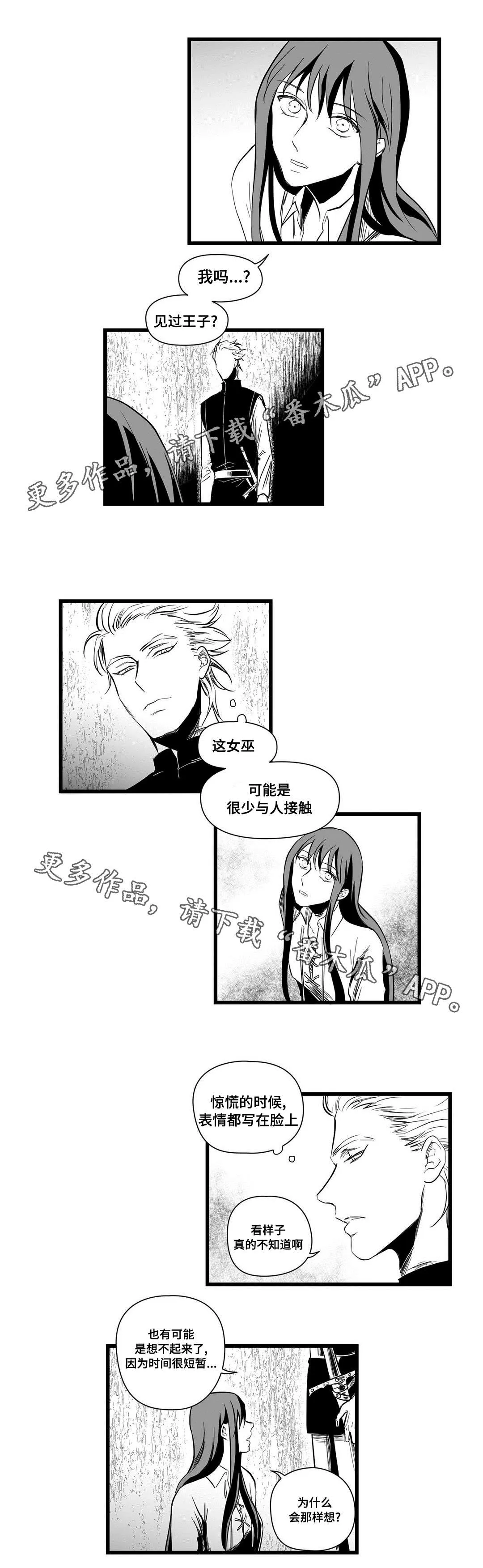 巫师与王子漫画漫画,第11章：秘密1图