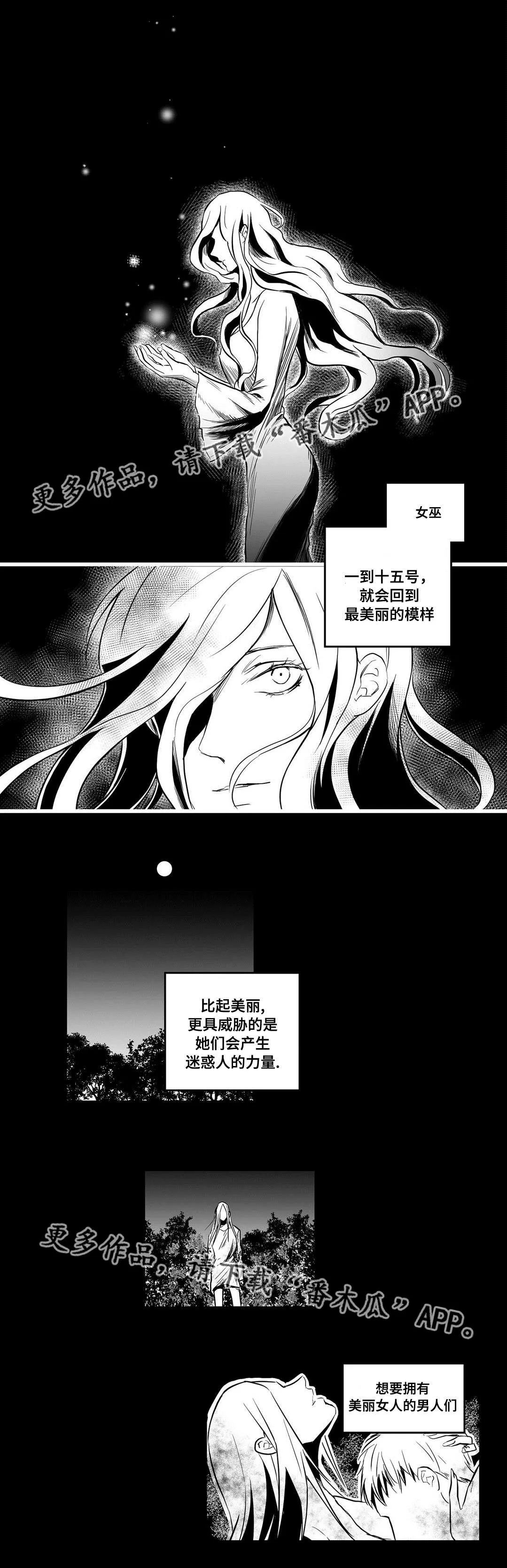 巫师与王子漫画漫画,第10章：真面目8图