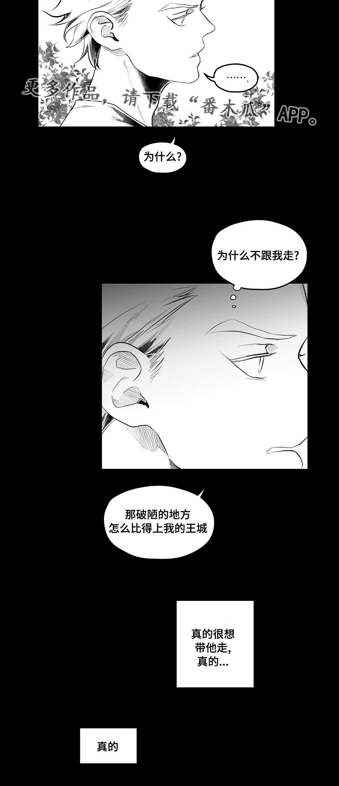 巫师与吸血鬼漫画漫画,第88章：带他走25图