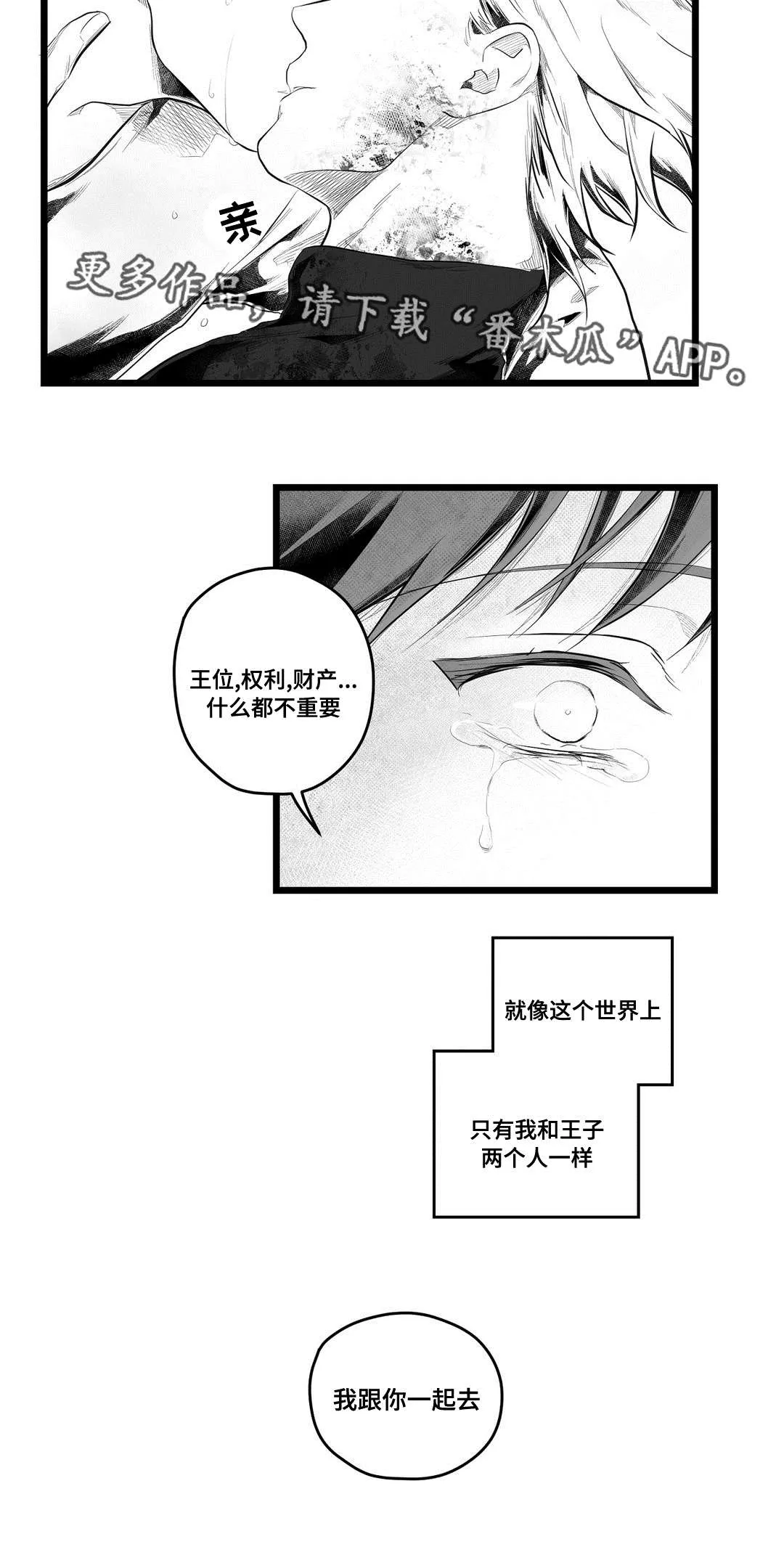 王子与巫师的二三漫画,第90章：得失12图