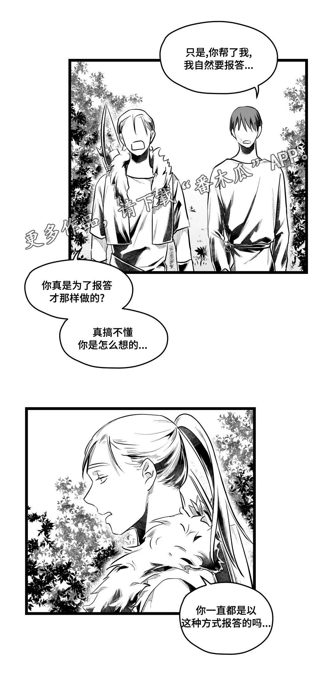 王子与巫师漫画漫画,第63章：爱情9图