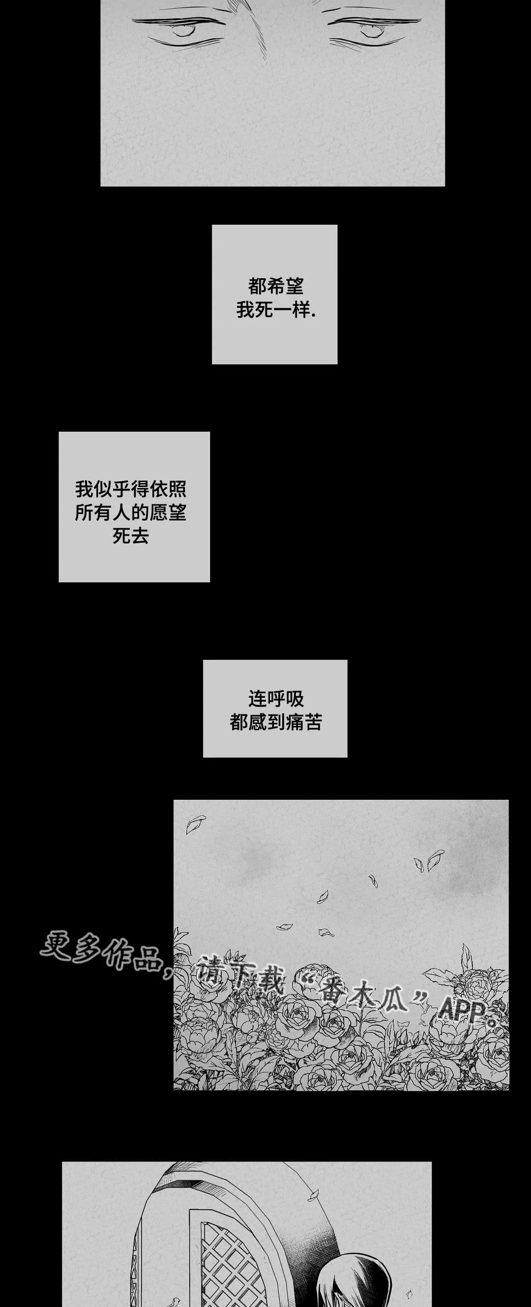 王子与巫师漫画漫画,第63章：爱情17图