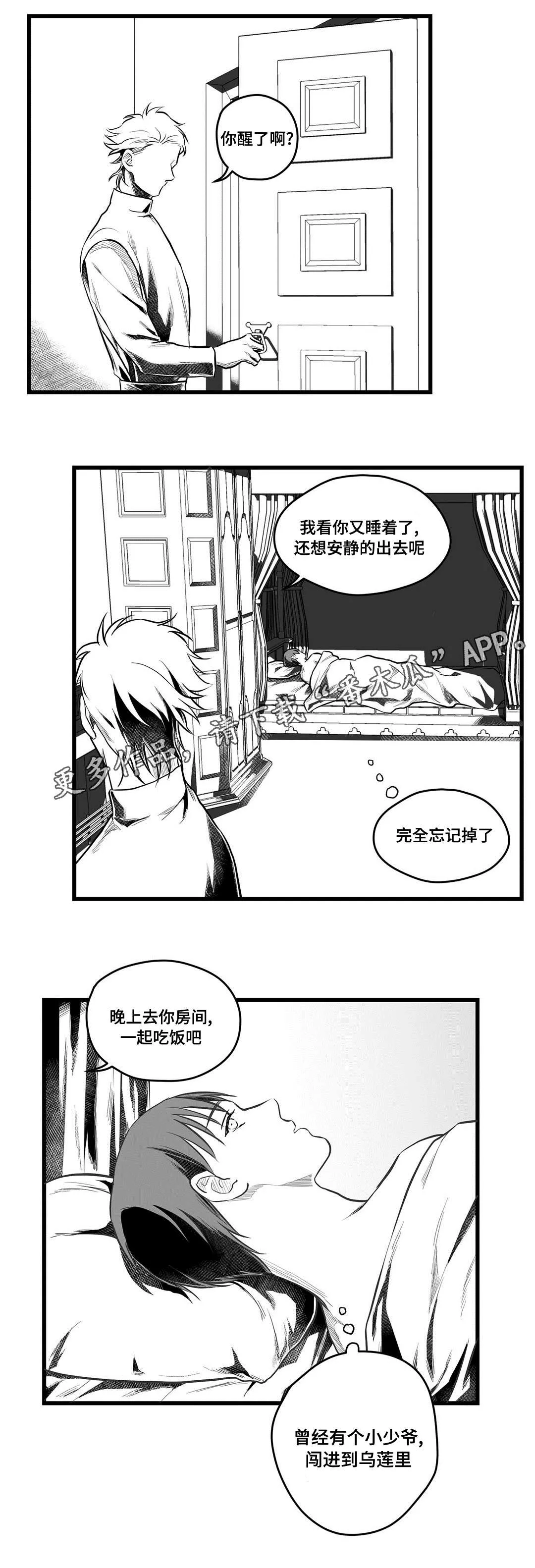 巫师与王子漫画漫画,第53章：无法理解11图