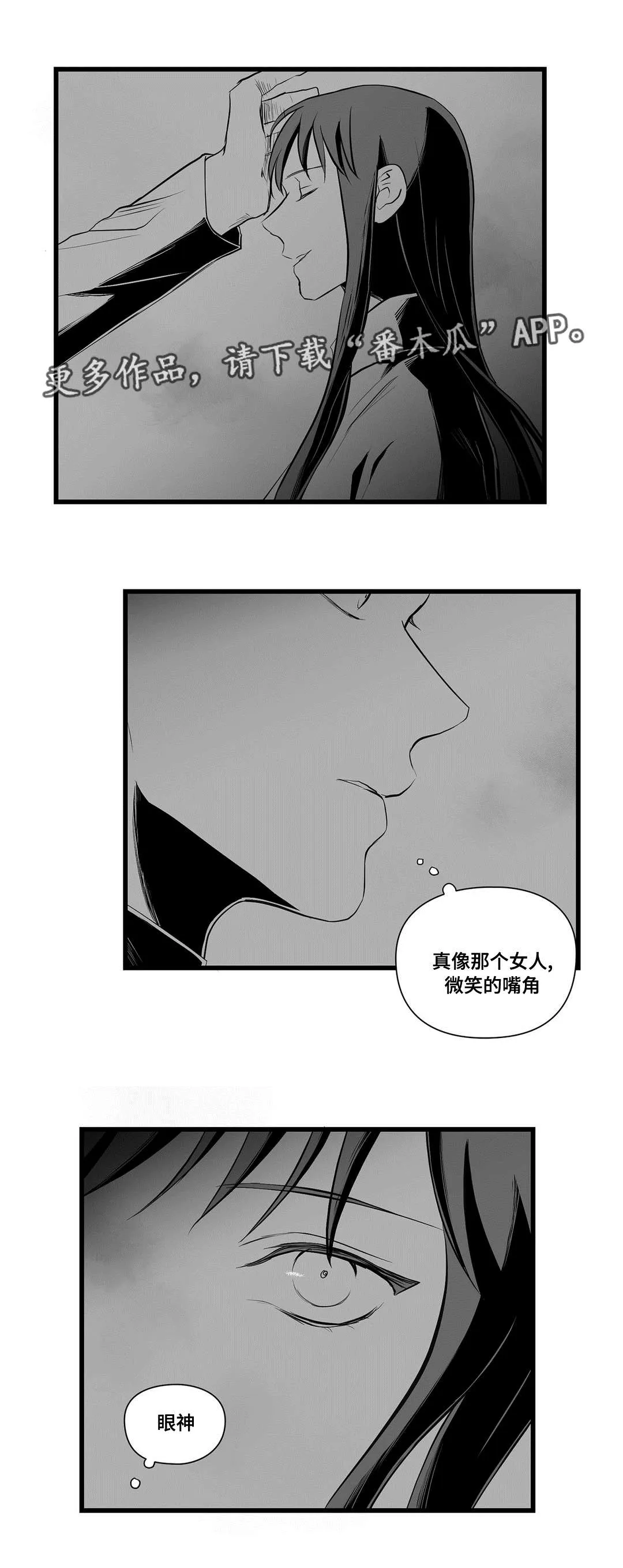 巫师与王子漫画漫画,第35章：一模一样11图