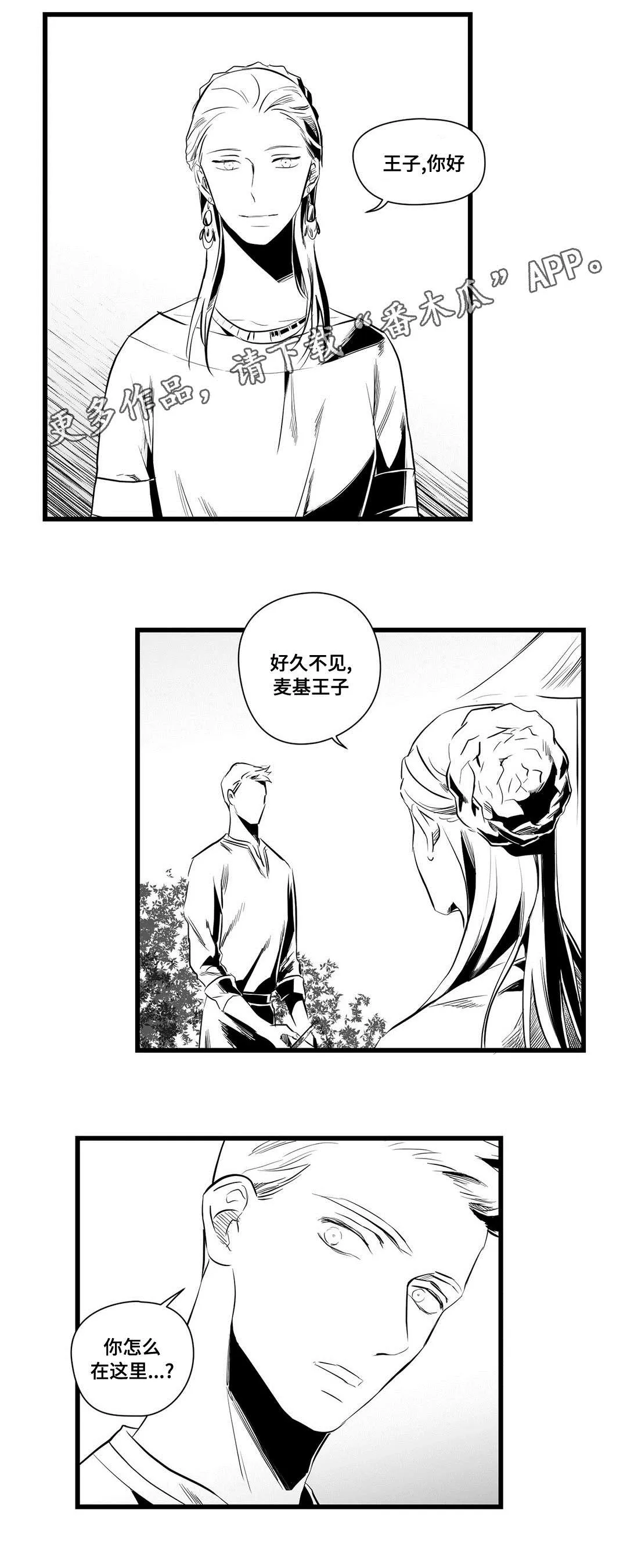 巫师与王子漫画漫画,第36章：隐瞒着什么11图