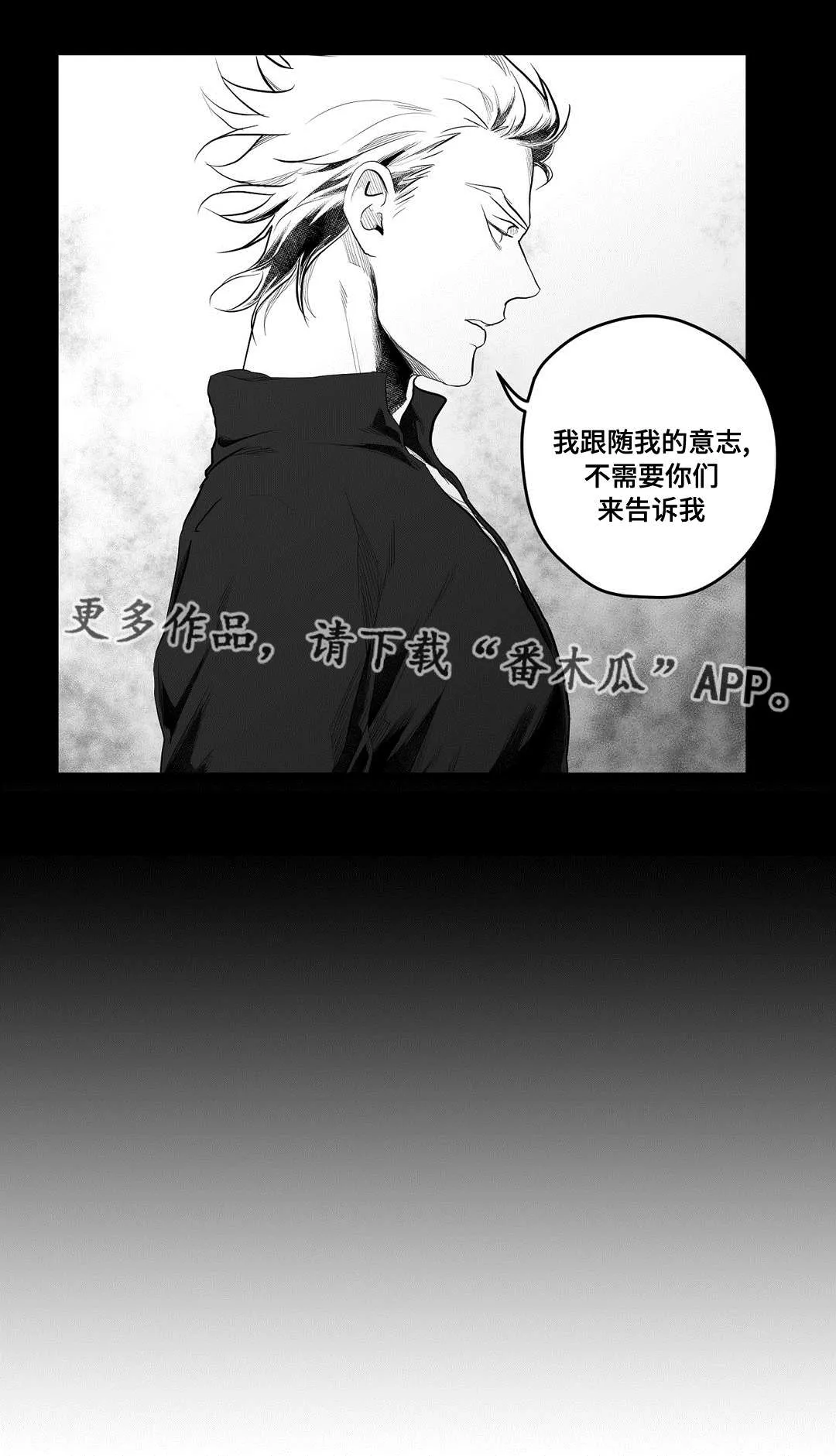 巫师与吸血鬼漫画漫画,第89章：坠崖7图