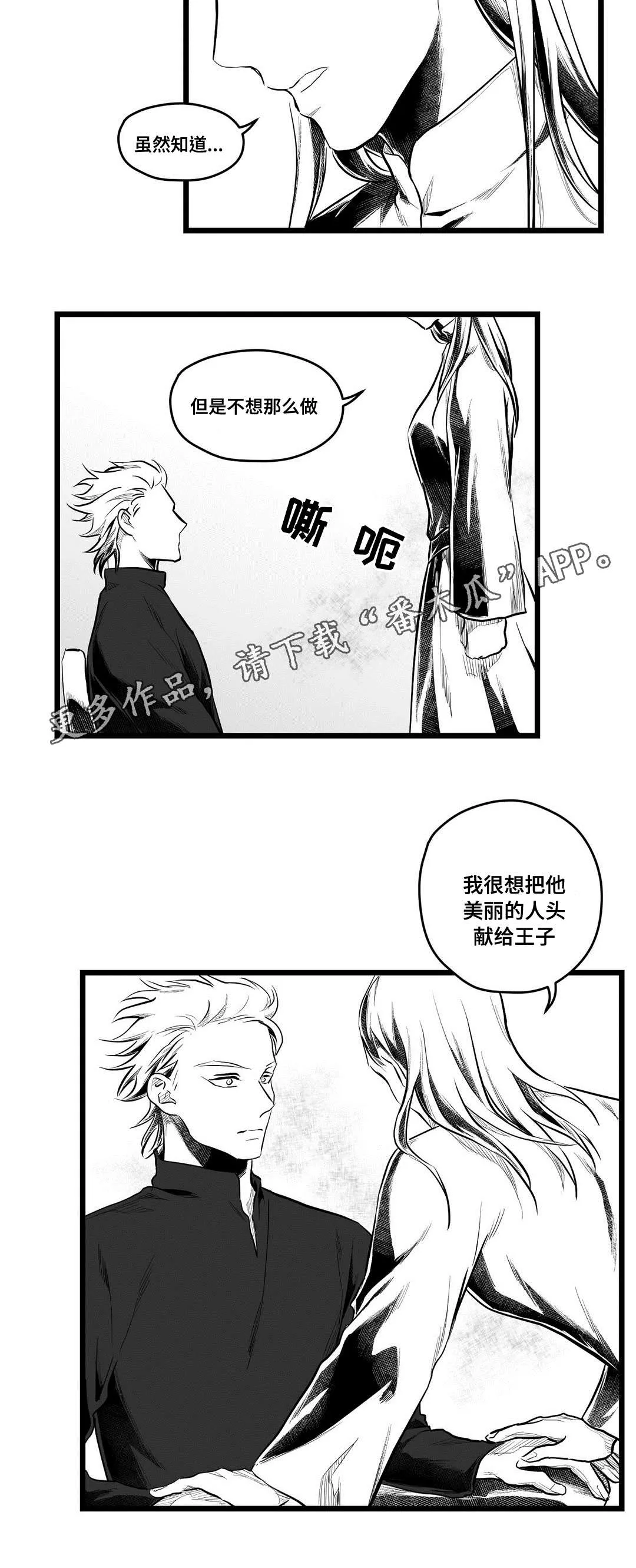 王子与巫师漫画漫画,第63章：爱情4图